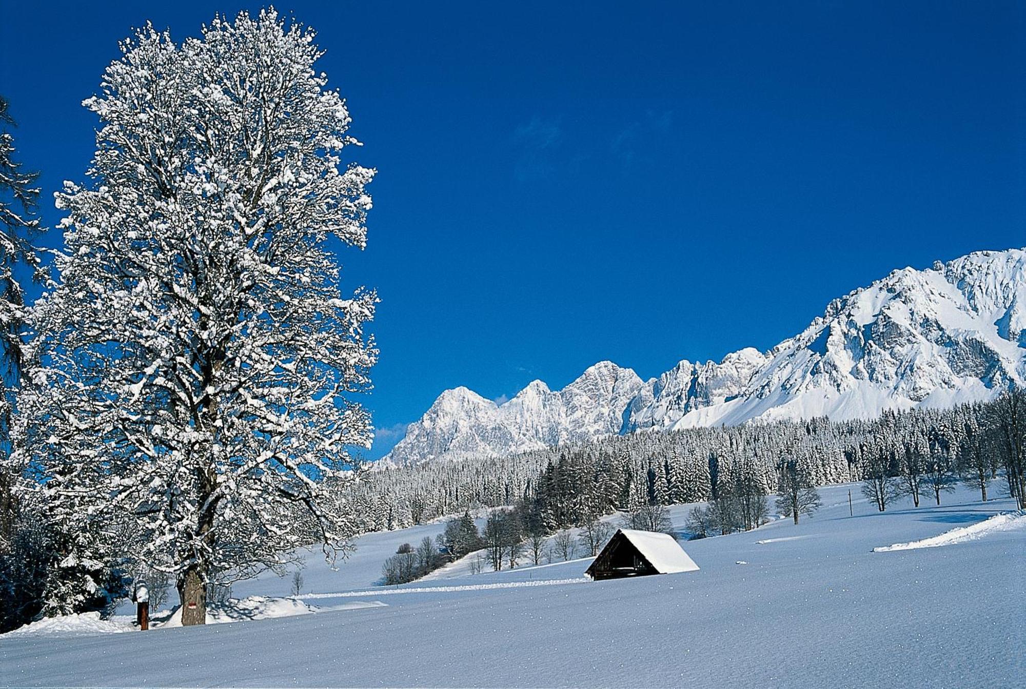 Hotel Matschner Ramsau am Dachstein Εξωτερικό φωτογραφία